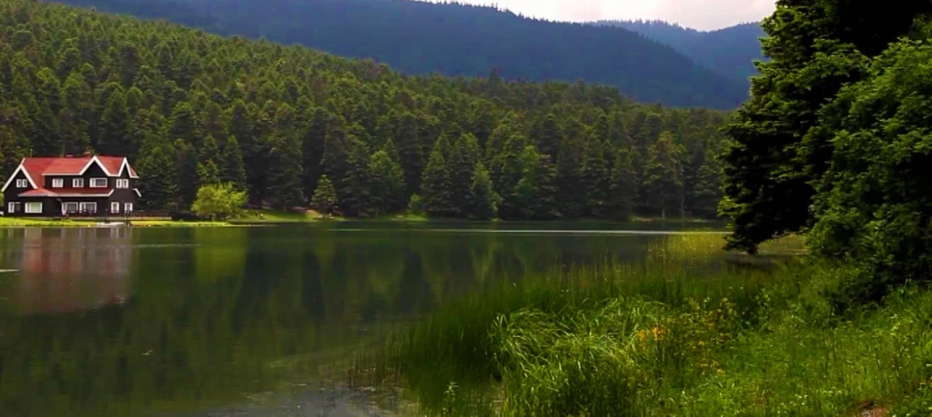 بولُو أبانت