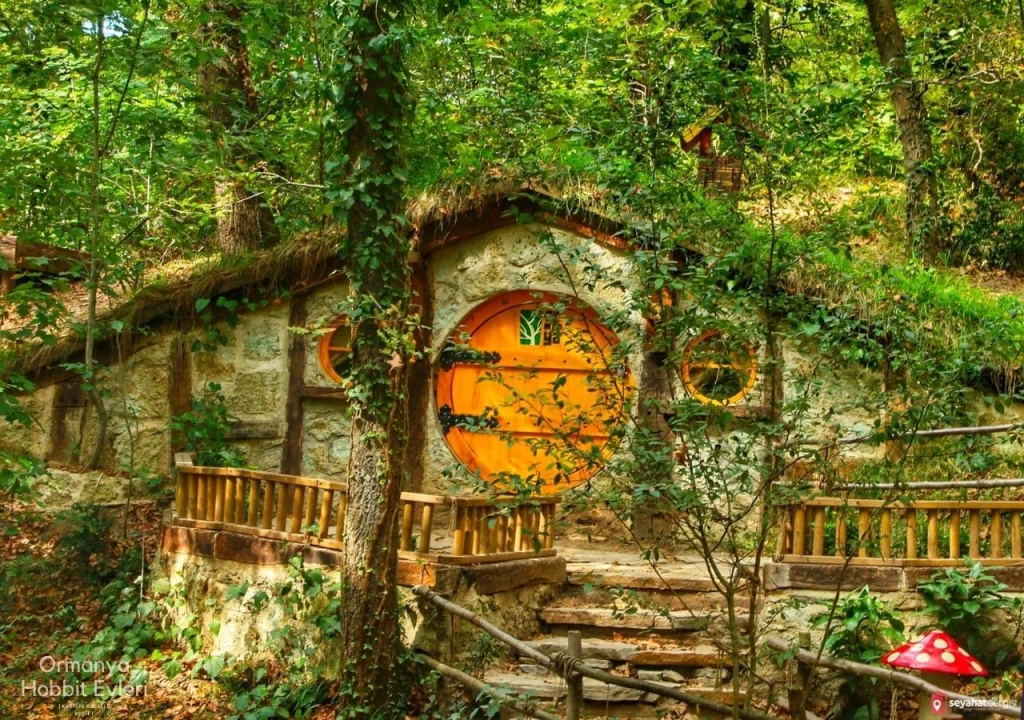 Günübirlik Maşukiye - Ormanya - Sapanca Turu