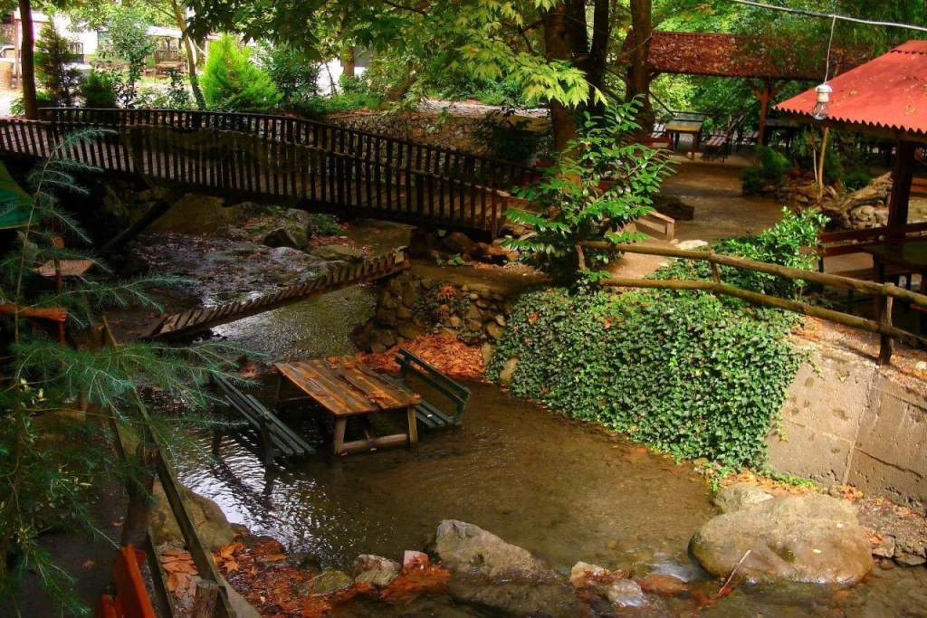 Günübirlik Maşukiye - Ormanya - Sapanca Turu