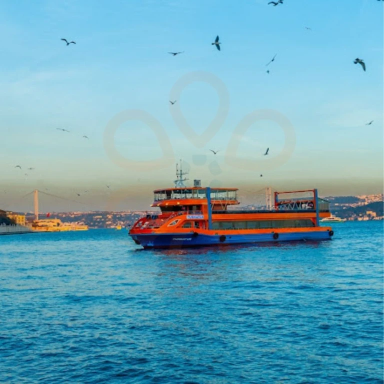 博斯普鲁斯夜游船