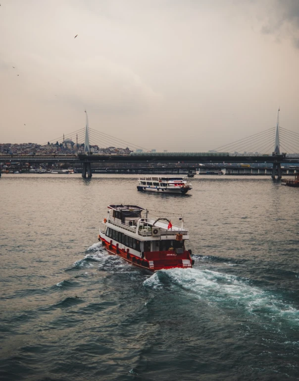 Istanbul Day Trips: Hagia Sophia, Blue Mosque, Grand Bazaar & Süleymaniye Mosque with Bosphorus Tea Break