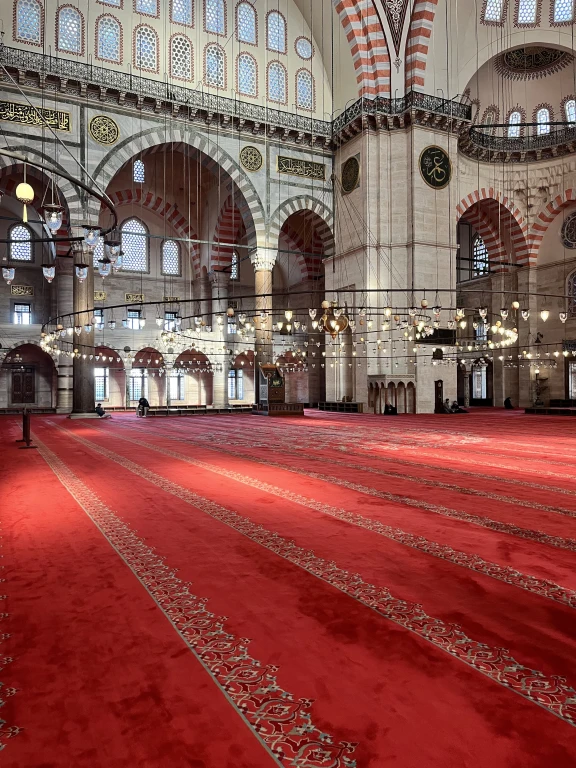 Istanbul Day Trips: Hagia Sophia, Blue Mosque, Grand Bazaar & Süleymaniye Mosque with Bosphorus Tea Break