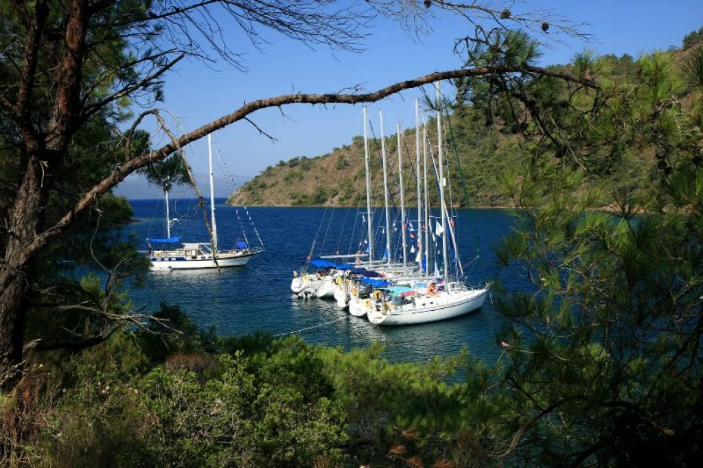 HISARONU