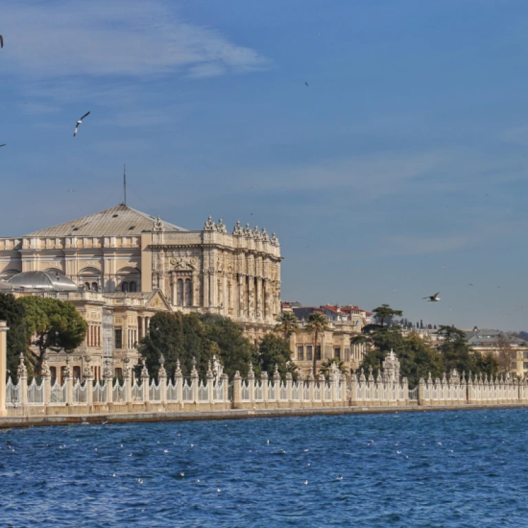 清晨或日落游船配导游和小吃