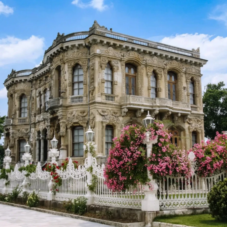 清晨或日落游船配导游和小吃