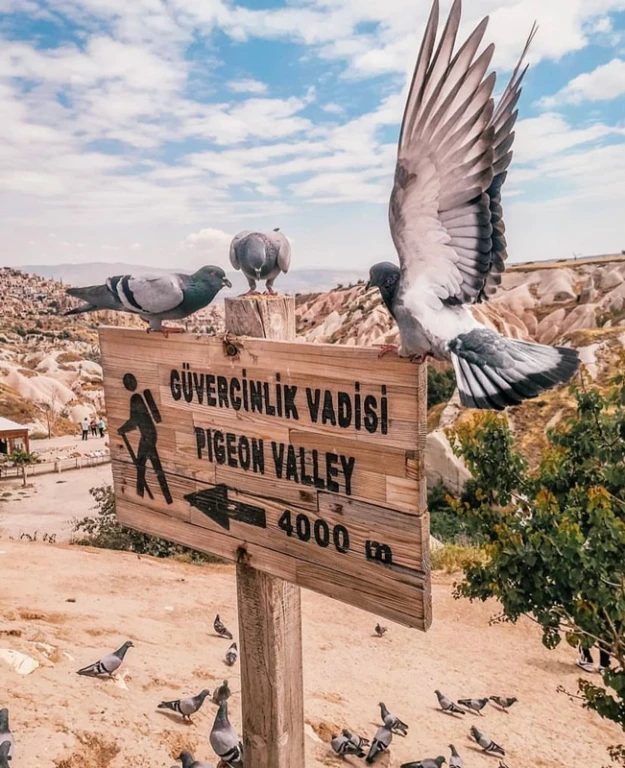 Private Bölge Turu (Green Tur)