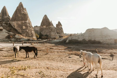 Cappadocia’s Best: Must-See Highlights in a One-Day Tour with  Private VAN and Guide