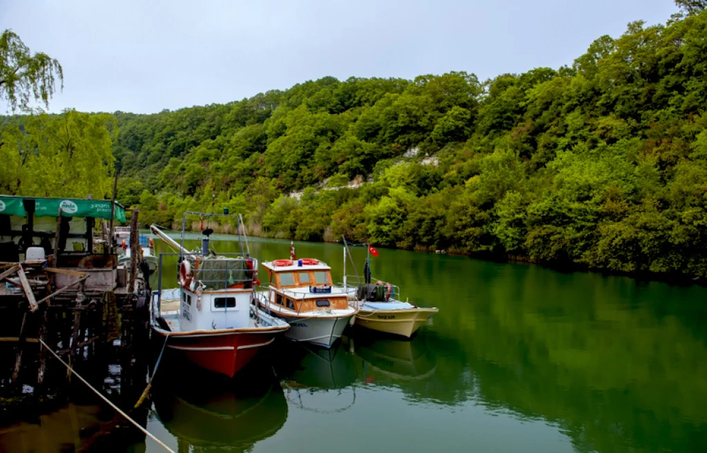 Maşukiye & Sapanca Tour