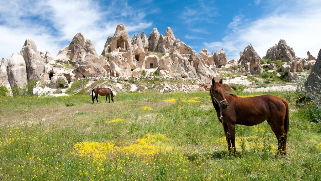 Cappadocia Horseback Riding