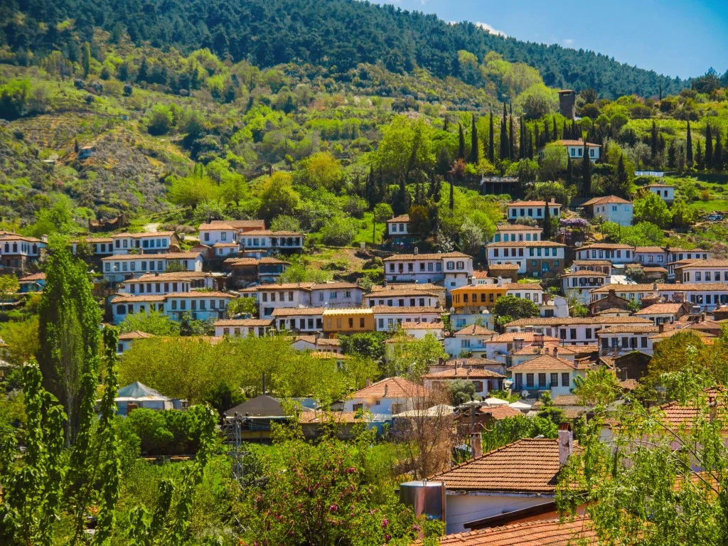 Excursion d'une journée à Sirince