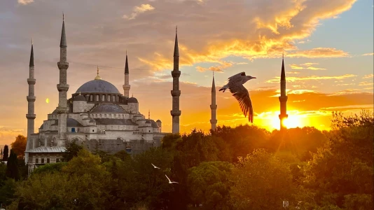 Tour S1 Topkapi palace (Harem and Selamlik), St.Irine Church, Blue mosque, Hippodrome square, Ibrahim pasha palace (outside), Hammam Hurrem, Sultan (outside)