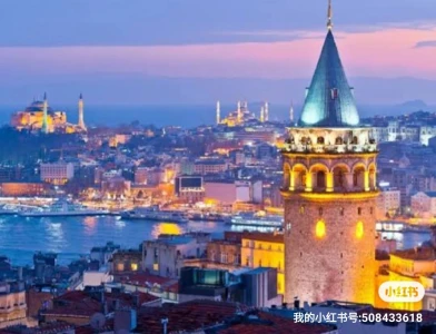 Tour P1 SIGHTSEEING TOUR