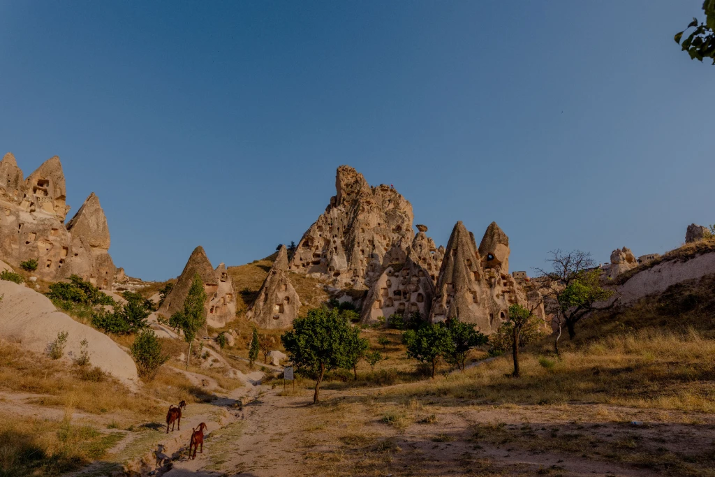 Raskurs Cappadocia Tur