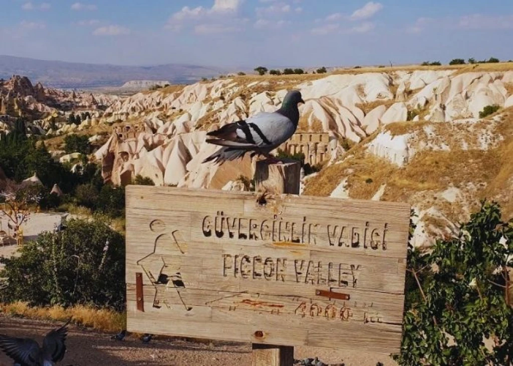 Raskurs Cappadocia Tur