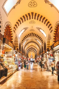 12 Night 13 Day Türkiye Tour 2025 retail