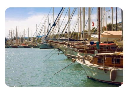 VIP καθημερινή εκδρομή στη Βόδρουμ από το Νησί της Κω