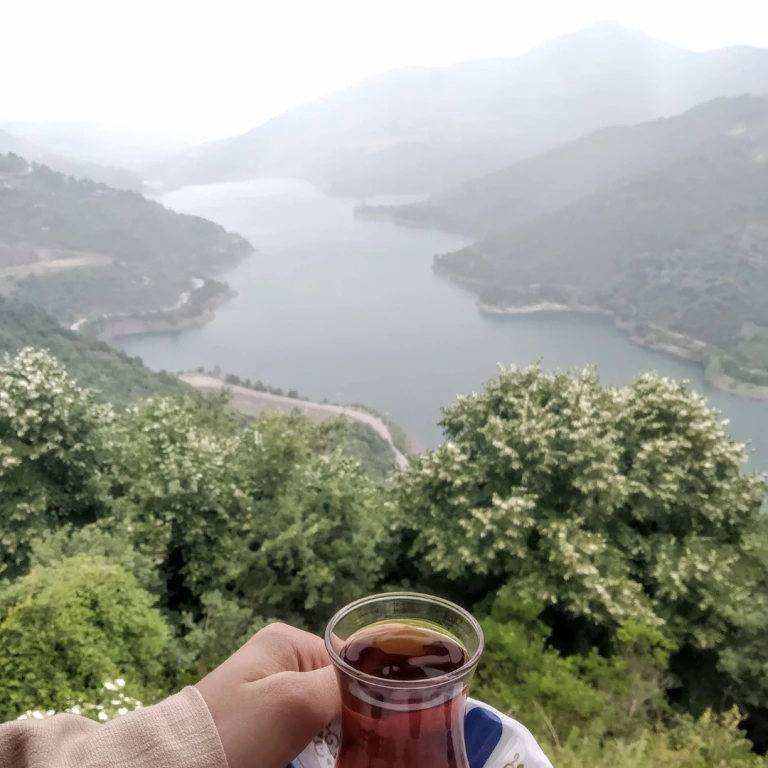 Günübirlik Maşukiye Abant ve Gölcük Gölü Turu