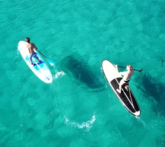 Стакълна гребка