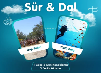 Бързо & клониране