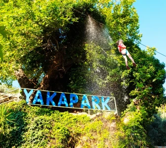 Бързо & клониране