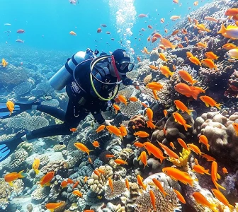 Бързо & клониране