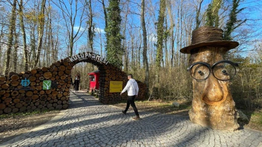 Günübirlik Yuvacık Ormanya Turu