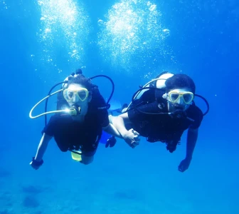 Роњење, Фетије