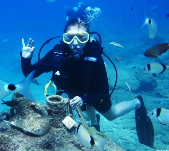 Роњење, Фетије