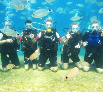 Роњење, Фетије