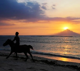Хайал меден месец пакет
