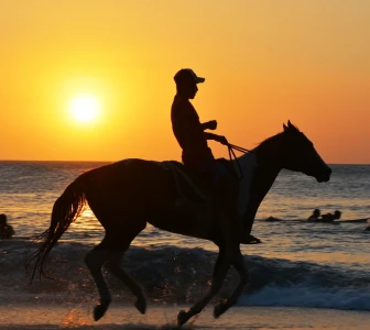 Хайал меден месец пакет