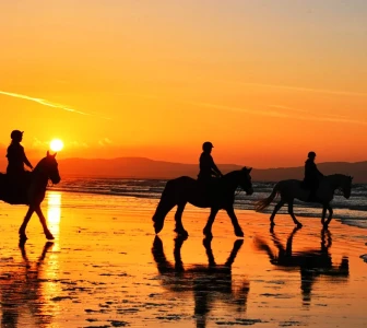 Хайал меден месец пакет