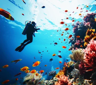 Maksymalna ekscytacja