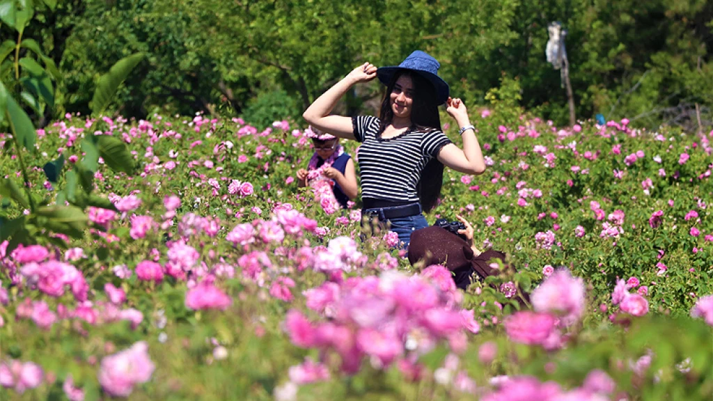 Dagtrip Isparta Rozen Oogst & Salda Meer & Işıklı Meer Tour