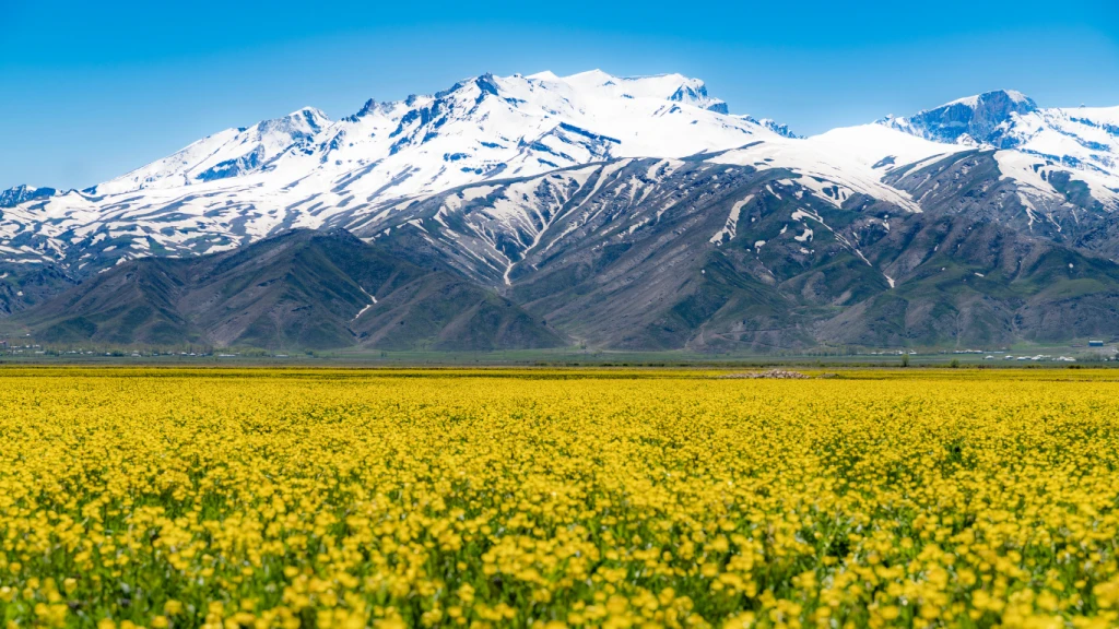 HAKKARİ DOĞASI YAZ TURU