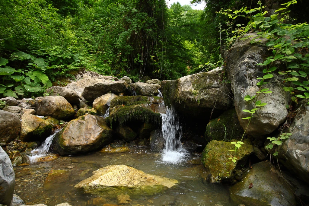 Masukiye Sapanca e Zoológico de Darıca