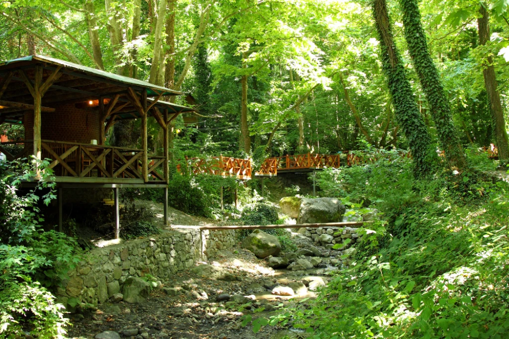 Masukiye Sapanca e Zoológico de Darıca