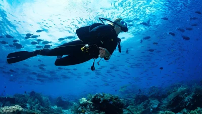 Fethiye Ölüdeniz Tüplü Dalış Turu | Güncel Fiyatlarla Sualtı Keşfi