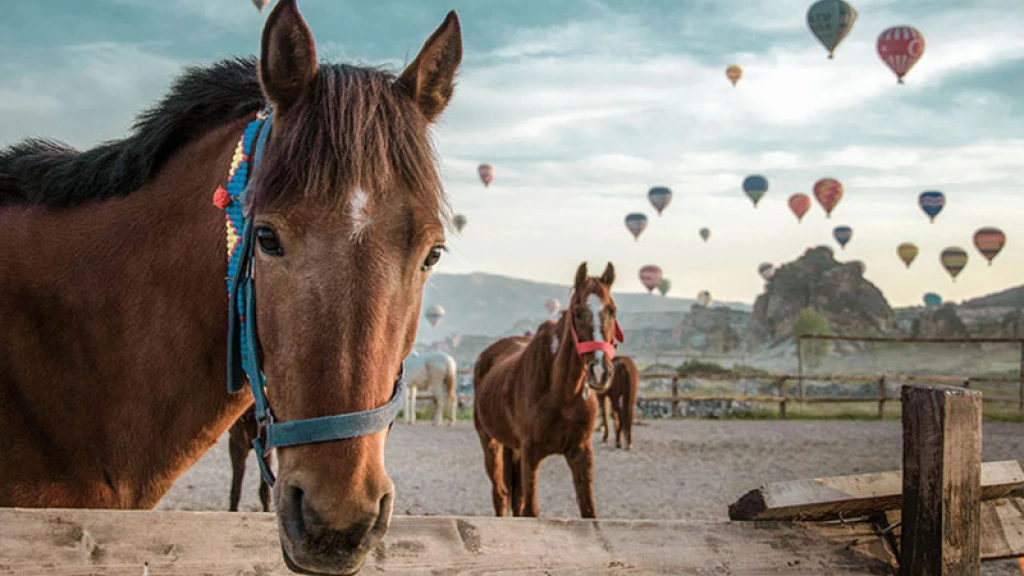 Cavalerie în Cappadocia