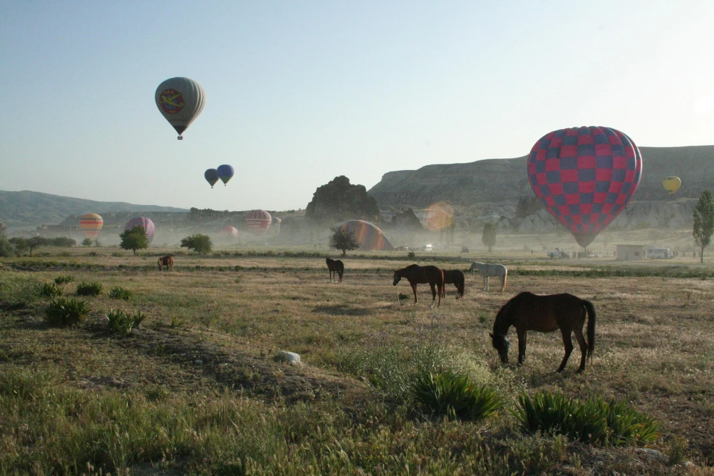 Tur Berkuda 2 Jam di Cappadocia