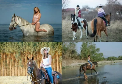 Horse Riding : Beach And Forest