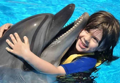 Swim with Dolphins: Pure Magic Awaits!