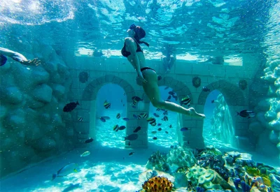 Seapark: Aquarium Swim Experience