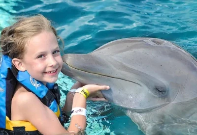 Swimming with Dolphines