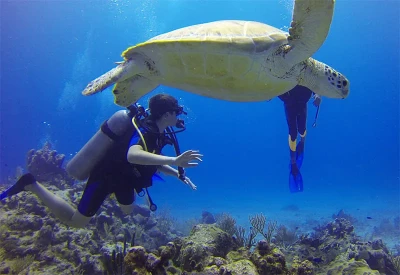 Alanya Scuba Diving Tour – Explore the Underwater World