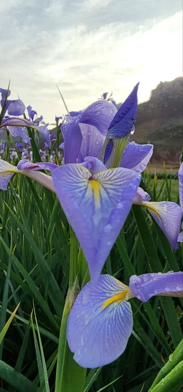TRABZON KALKIŞLI -VAN & YÜKSEKOVA DOĞA & KÜLTÜR TURU