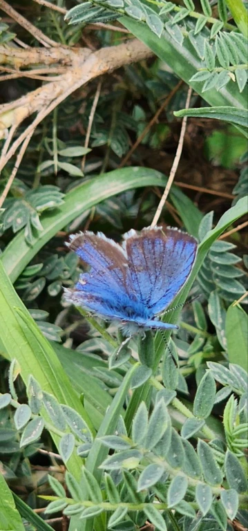 TRABZON KALKIŞLI -VAN & YÜKSEKOVA DOĞA & KÜLTÜR TURU