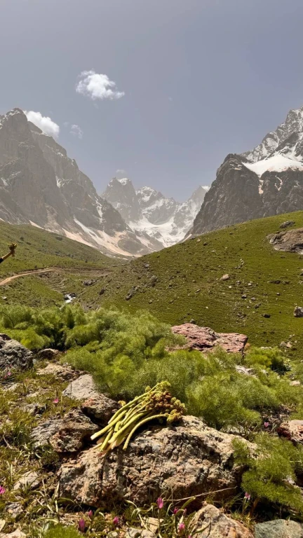 TRABZON KALKIŞLI -VAN & YÜKSEKOVA DOĞA & KÜLTÜR TURU