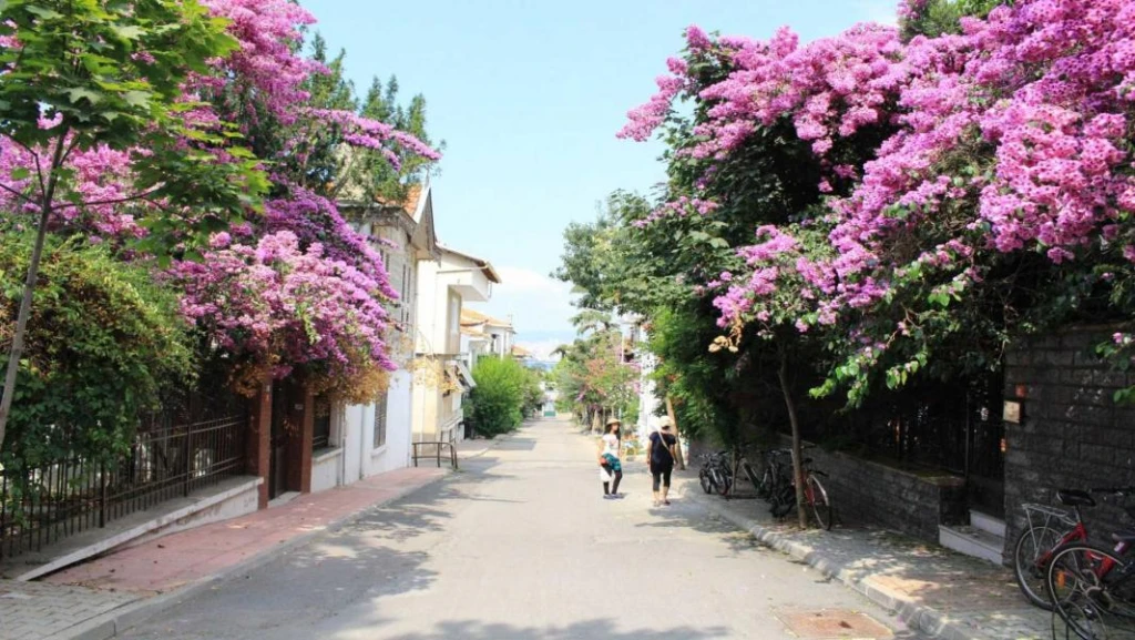 Günübirlik Ada Turu Yemek Dahil