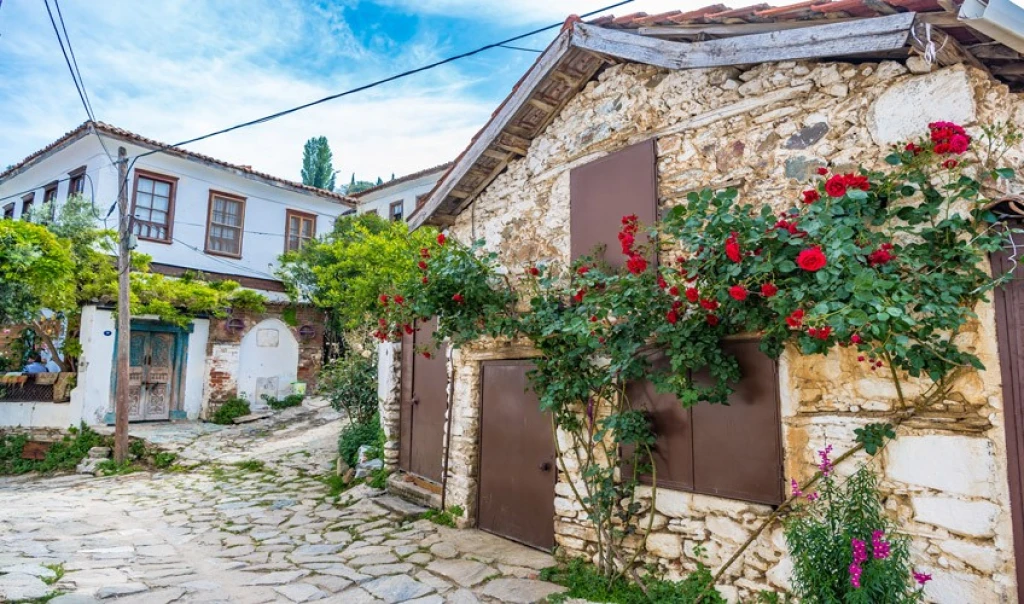 تور دو شب اقامت در هتل / خروج از استانبول / روستاهای پنهان اژه، بریگی، تیر، شیرینجه، سافریه‌سار، اورلا، آلاچاتی